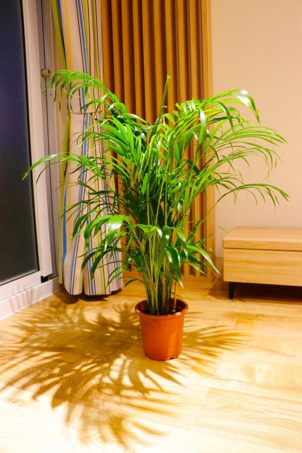 Pingtung Zen Home Ngoại thất bức ảnh